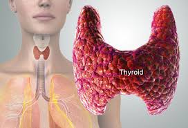 thyroid weight loss